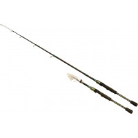 Wizard ROD WIZARD TELE SKILL  2,10M 5-25G