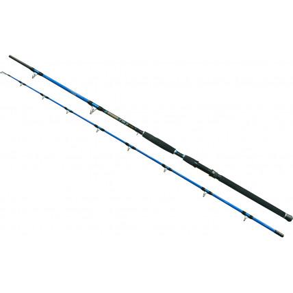 Wizard ROD WIZARD CAT PRO POWER 600-800G 3,00M