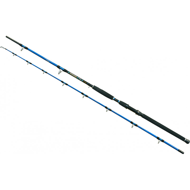 Wizard ROD WIZARD CAT PRO POWER 600-800G 3,00M