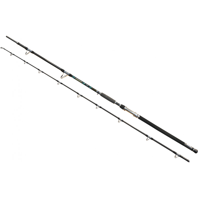 Wizard ROD WIZARD CAT HERCULES 310 300-600G