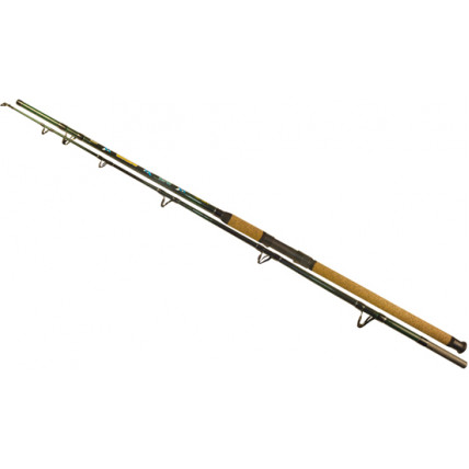 Wizard ROD WIZARD CATFISH SHADOW 2,90M 700-900G