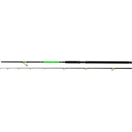 Wizard ROD WIZARD SAMURAI CATFISH 2R 270CM 300-600G