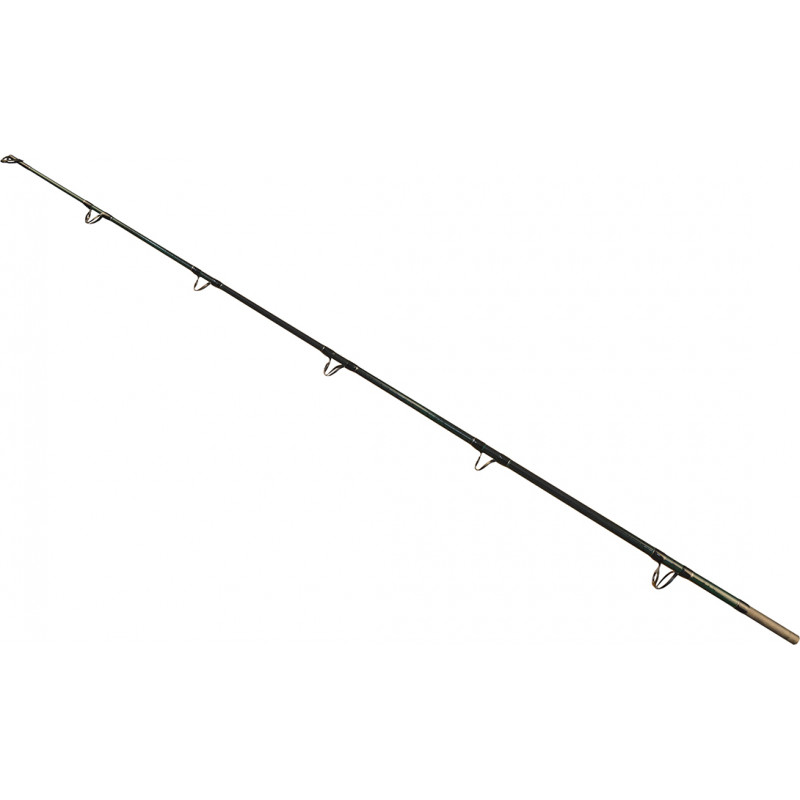 Wizard ROD WIZARD CATFISH SHADOW 2,70M 700-900G TIP SECTION